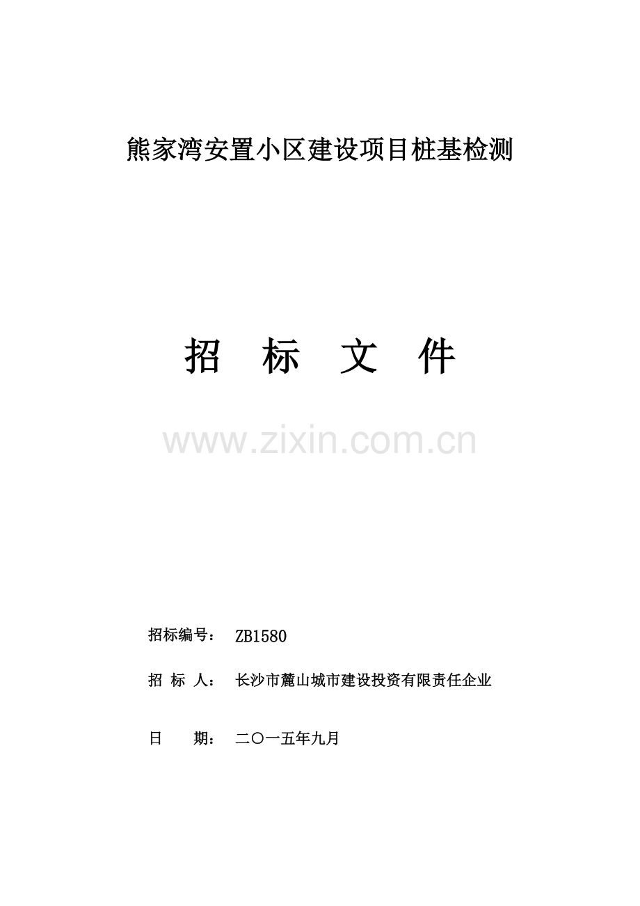 安置小区建设项目桩基检测招标文件模板.doc_第1页