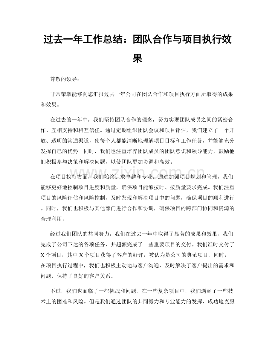 过去一年工作总结：团队合作与项目执行效果.docx_第1页