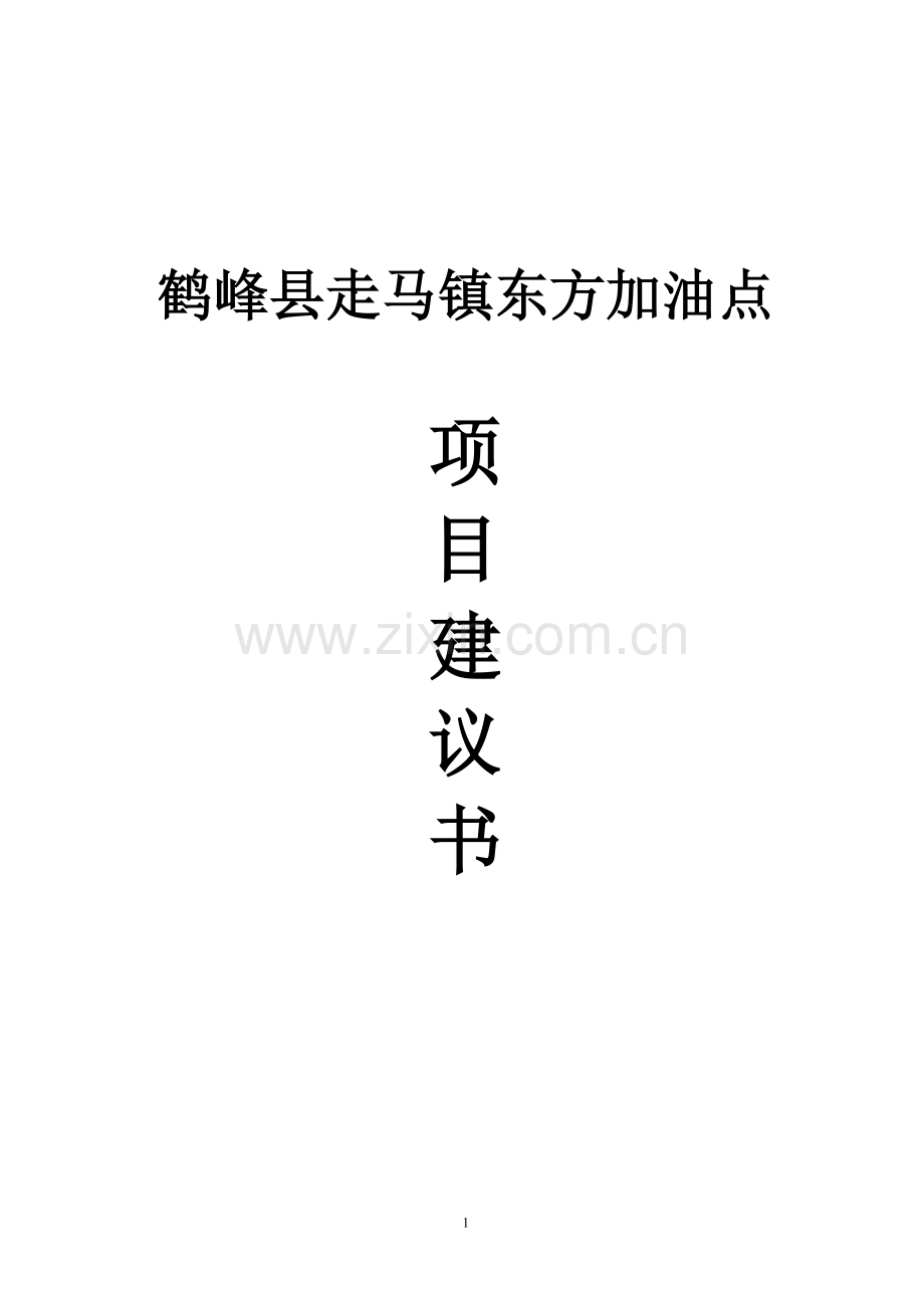 走马镇东方加油点项目建设可行性研究报告.doc_第1页