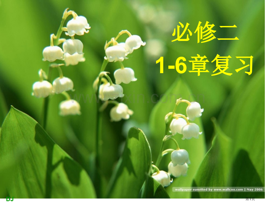 D生物必修二16章复习省公共课一等奖全国赛课获奖课件.pptx_第1页