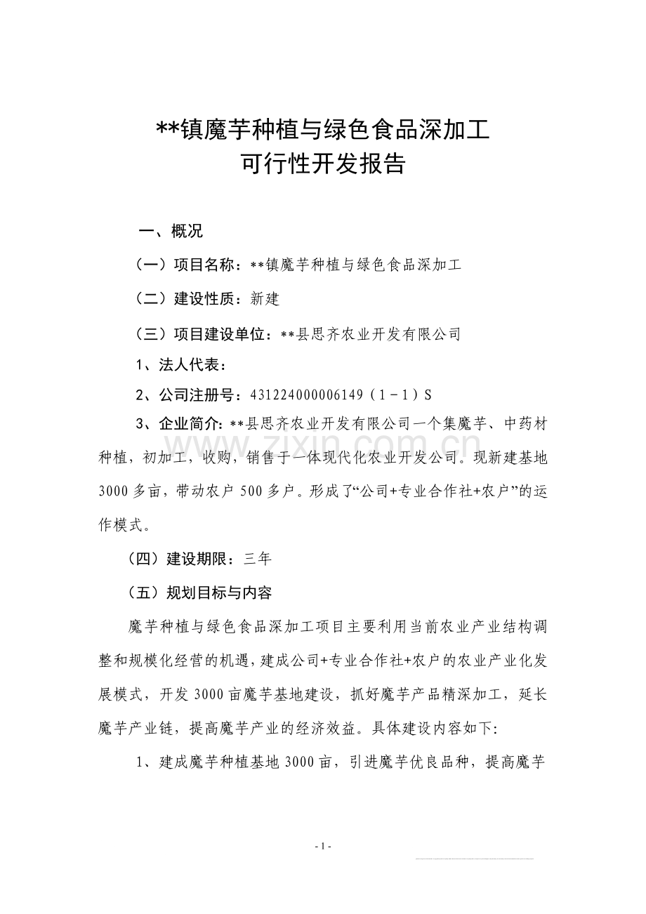 魔芋种植与产品加工项目投资可行性研究报告.doc_第1页