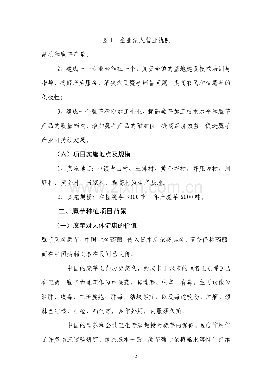 魔芋种植与产品加工项目投资可行性研究报告.doc_第2页