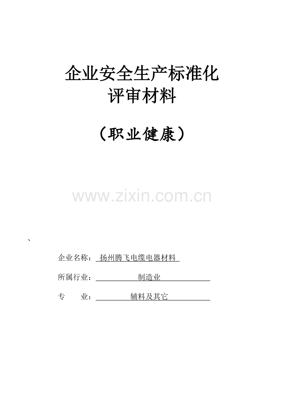 十职业健康安全生产标准化模板.doc_第1页