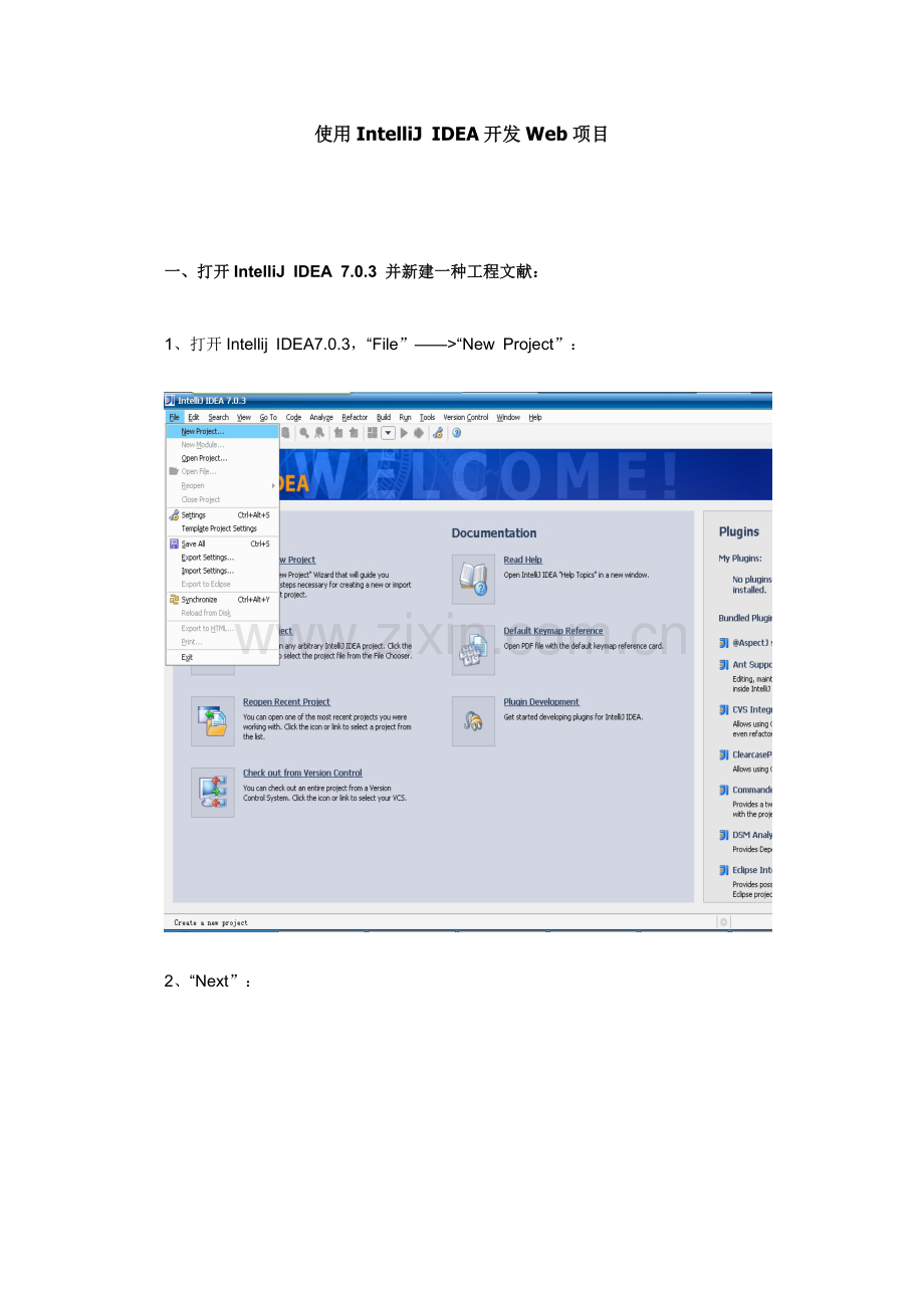 IntellijIDEA基础手册专业资料.doc_第1页
