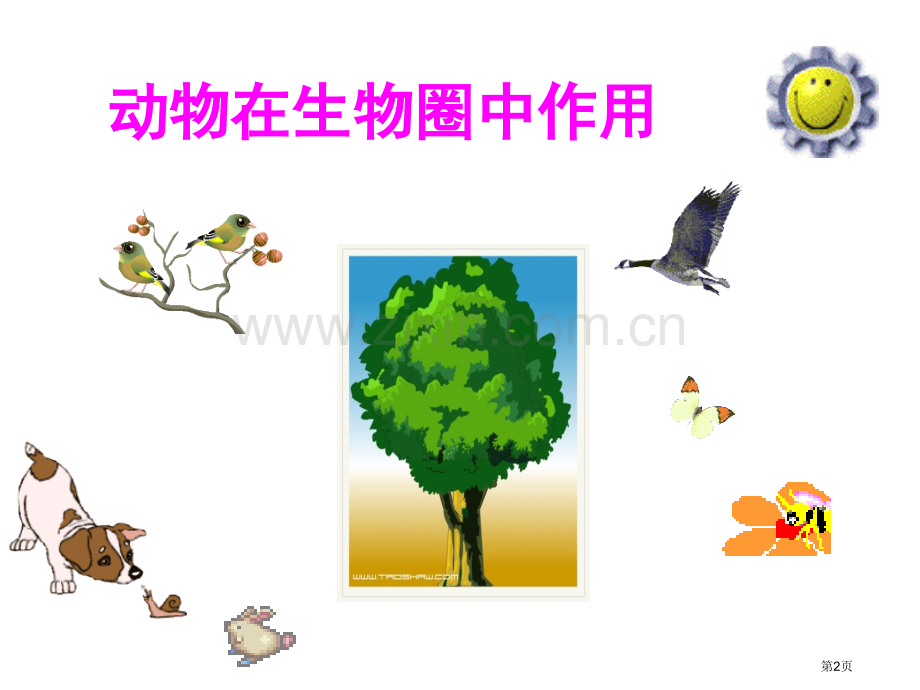动物在生物圈中的作用省公共课一等奖全国赛课获奖课件.pptx_第2页