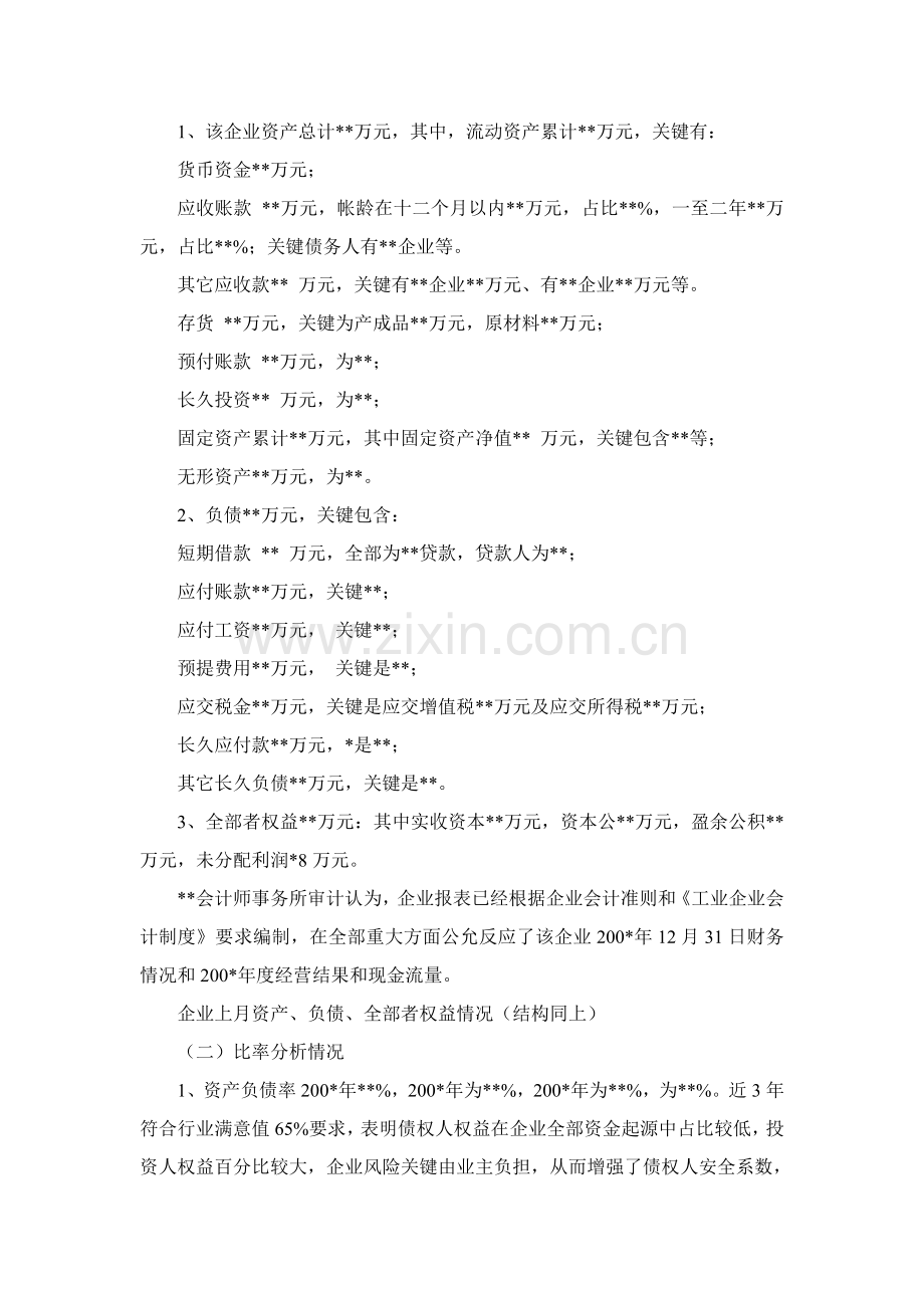 公司贷款调查分析报告.doc_第2页