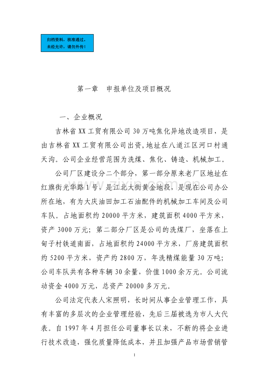 30万吨焦化异地改造项目建设项目可行性研究报告.doc_第1页