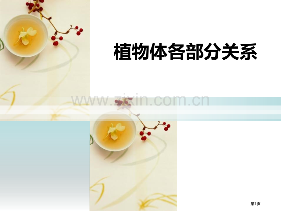 人教版科学六年级上册第一章第5课植物体各部分的关系ppt课件省公开课一等奖新名师优质课比赛一等奖课件.pptx_第1页