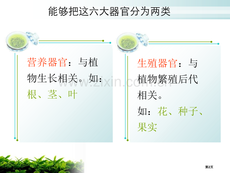 人教版科学六年级上册第一章第5课植物体各部分的关系ppt课件省公开课一等奖新名师优质课比赛一等奖课件.pptx_第2页
