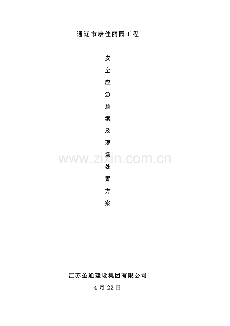 建设综合项目工程安全应急专项预案及现场处置专项方案.doc_第1页