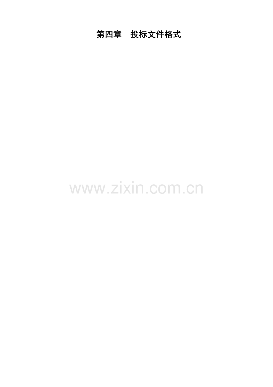 城市政工程项目投标文件模板.doc_第1页