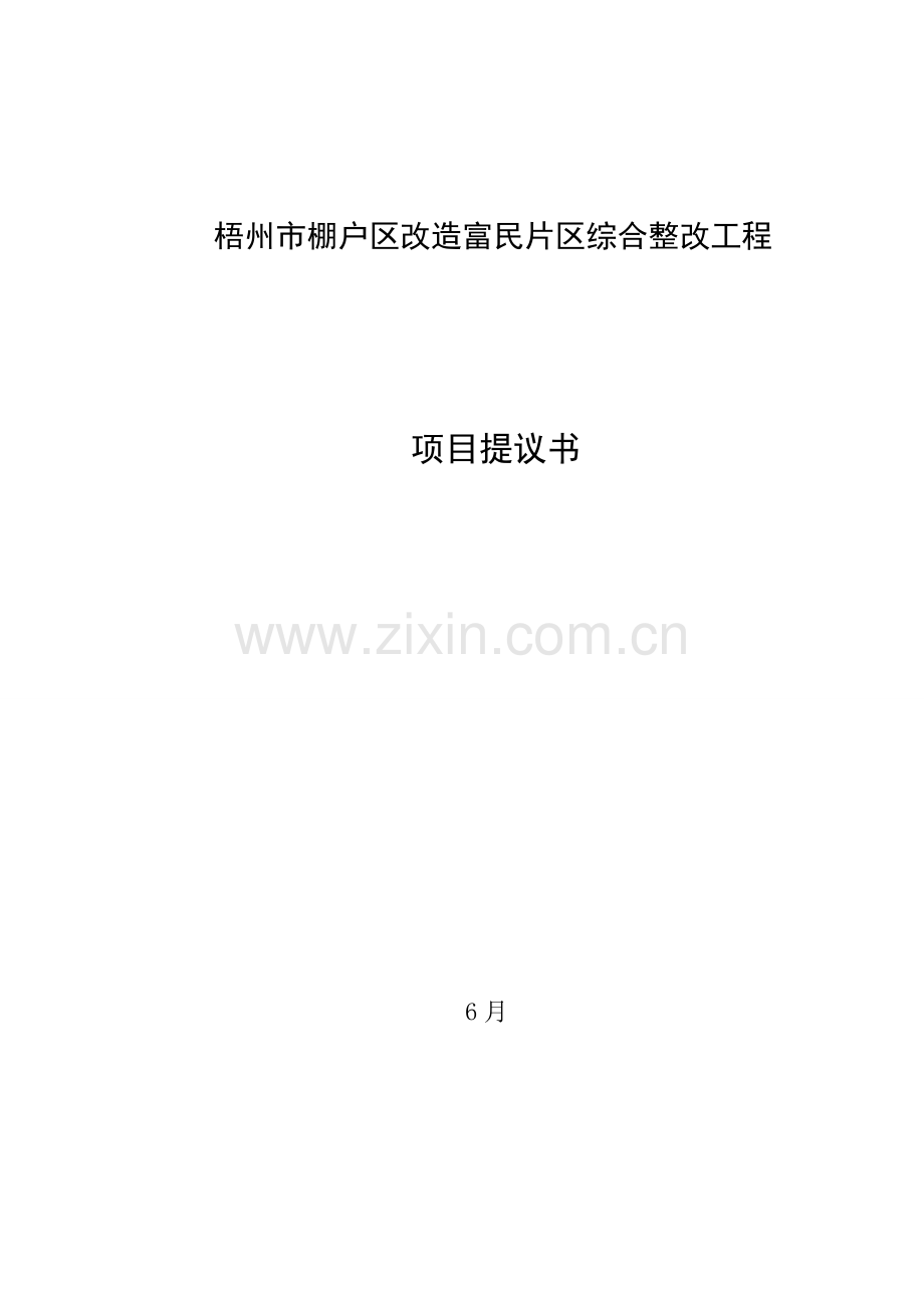 区改造富民片区综合整治工程项目建议书模板.docx_第1页