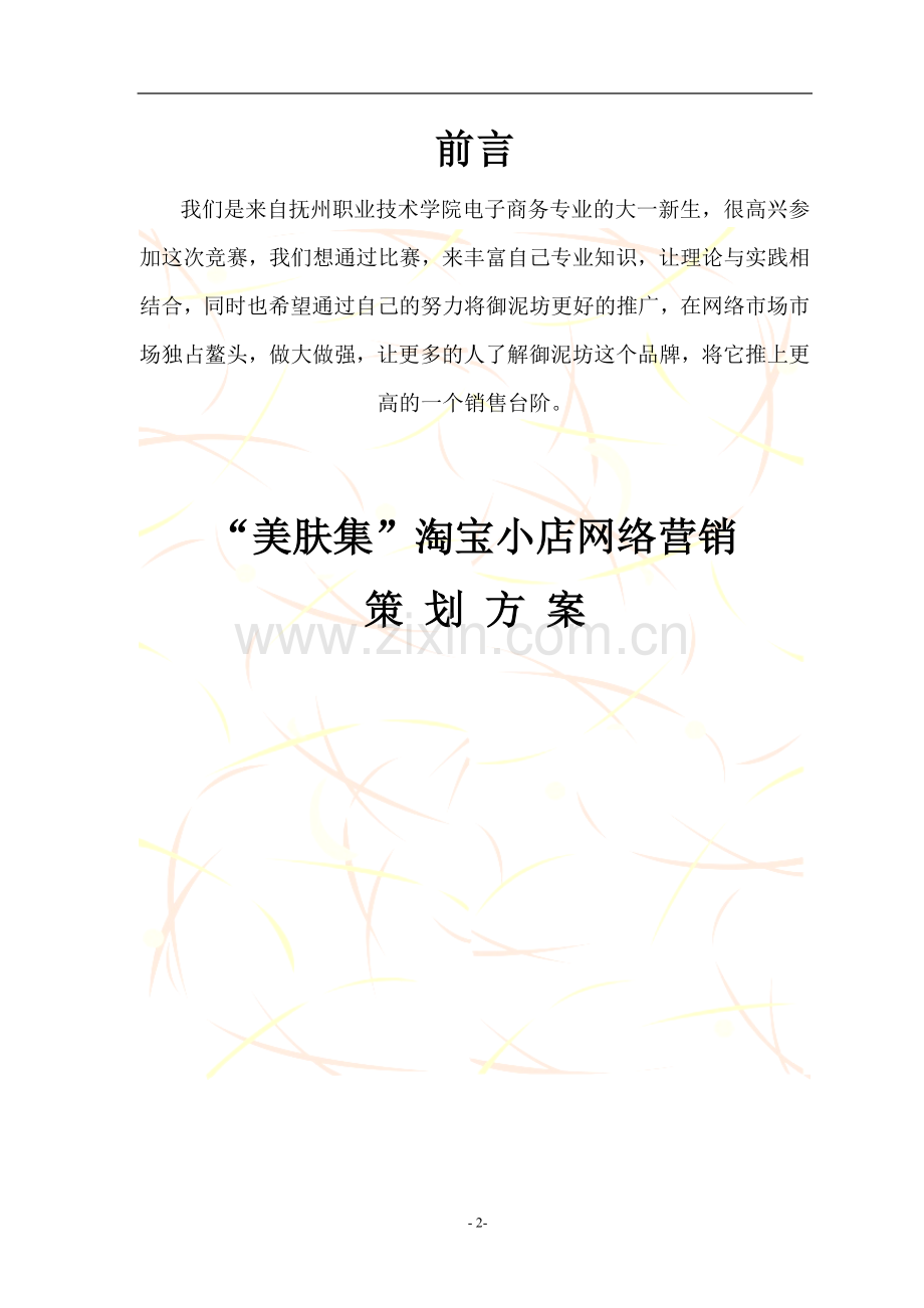 美肤集网络品牌营销策划案学士学位论文.doc_第2页