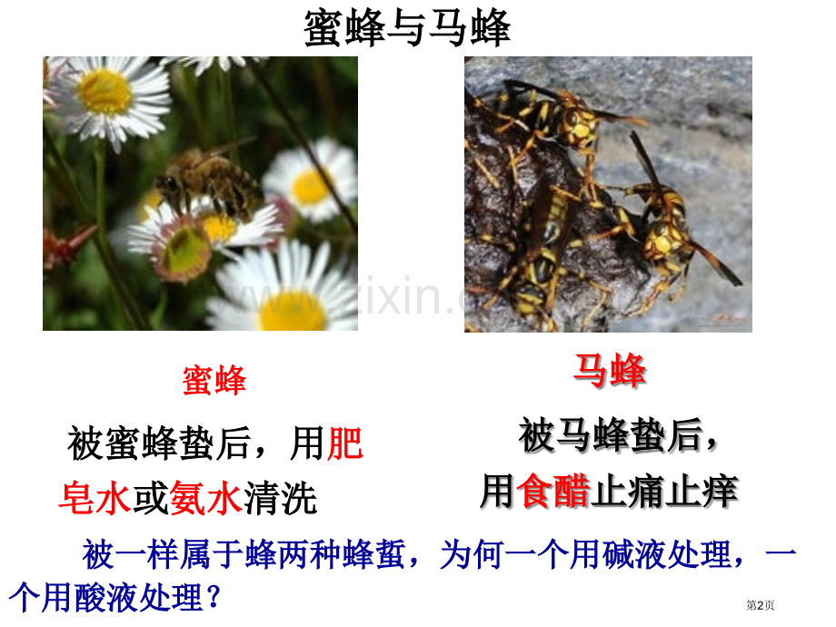 人教版九下酸和碱的中和反应省公共课一等奖全国赛课获奖课件.pptx_第2页