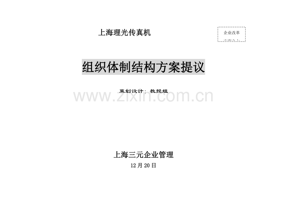 上海公司组织体制结构方案建议模板.doc_第1页
