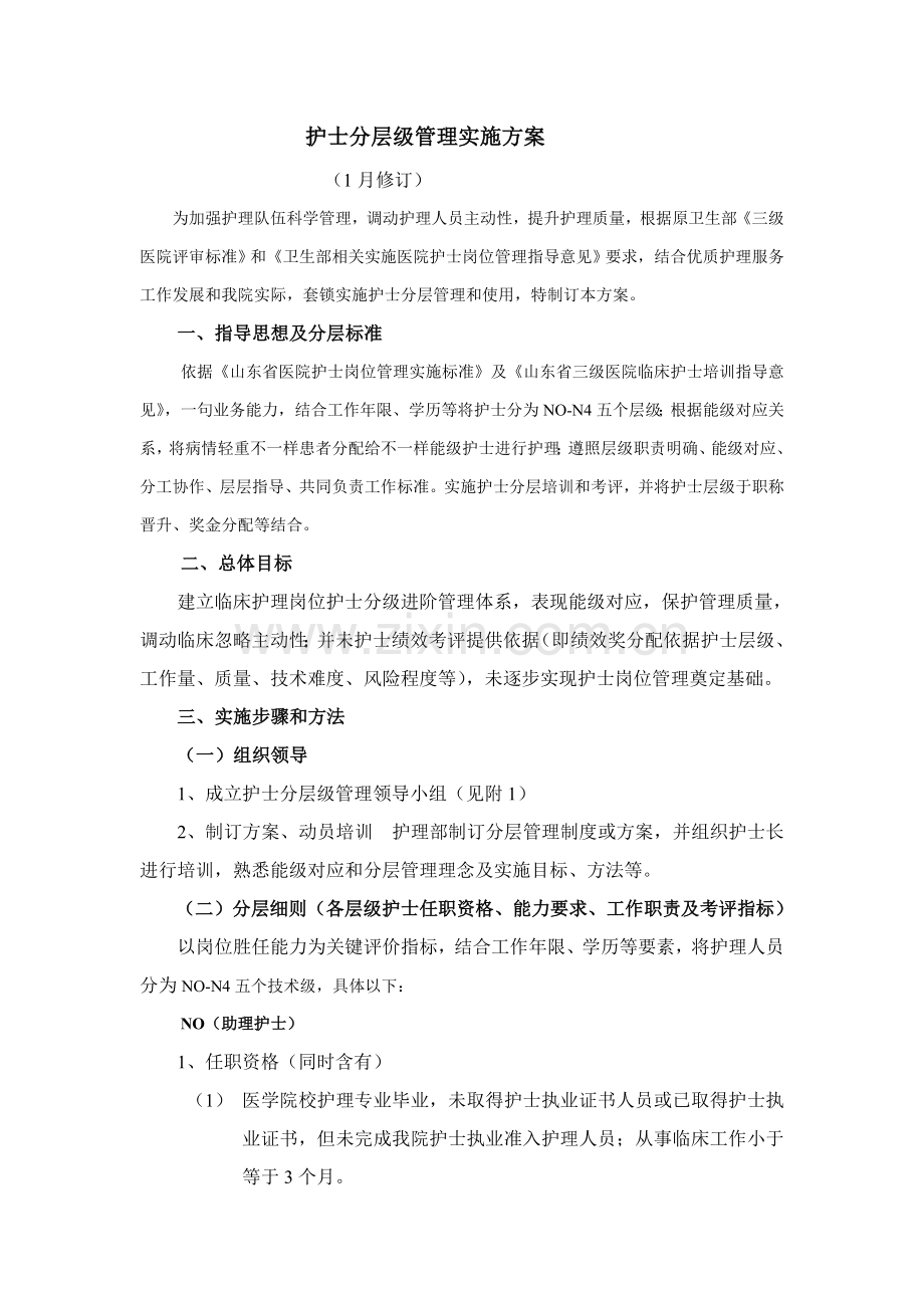 护士分层级管理实施专项方案.doc_第1页