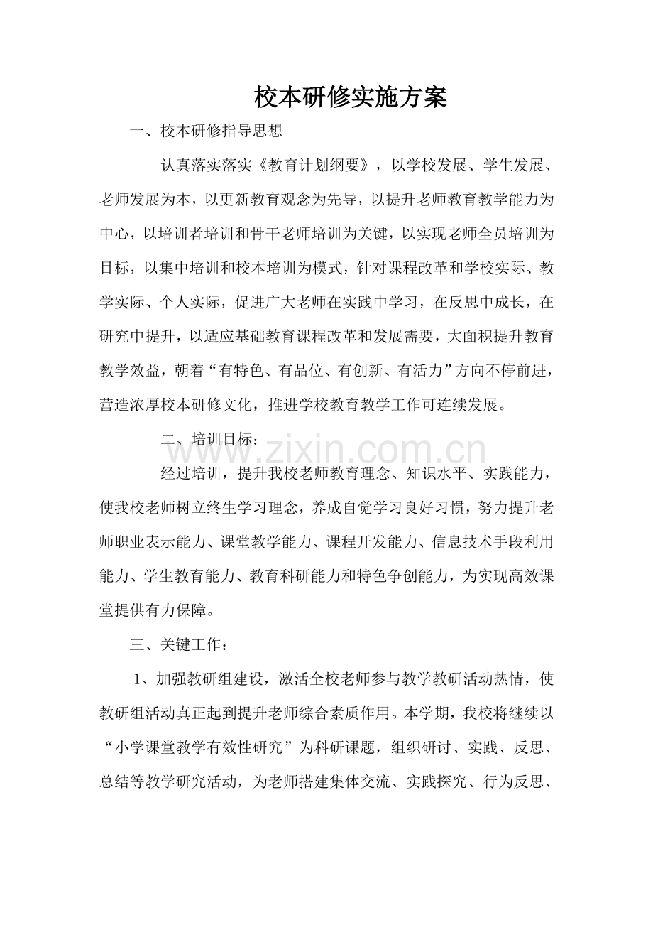 小学校本研修实施专项方案.doc_第1页