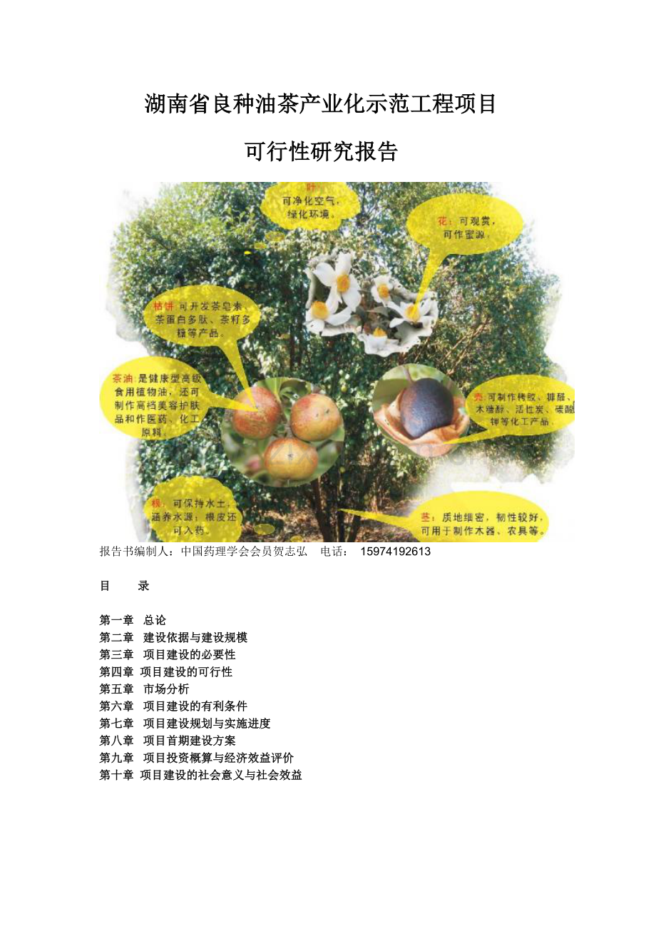 湖南省良种油茶产业化示范工程项目申请建设可研报告.doc_第1页