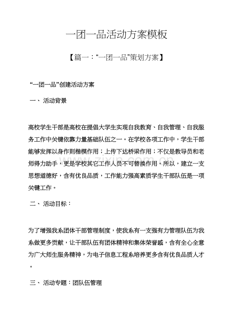 一团一品活动专项方案模板.docx_第1页