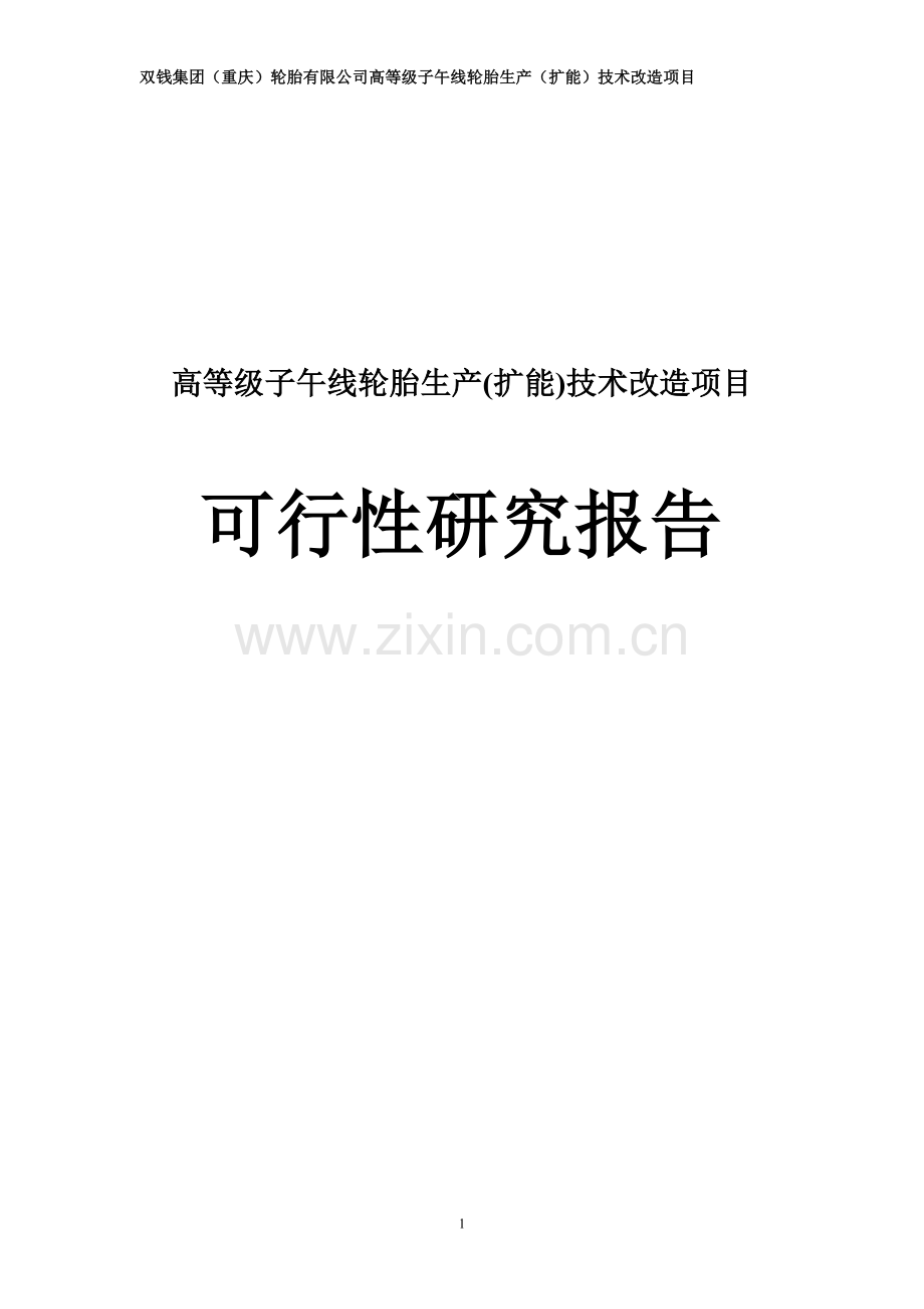 高等级子午线轮胎生产扩能技术改造项目建设投资可行性研究报告.doc_第1页