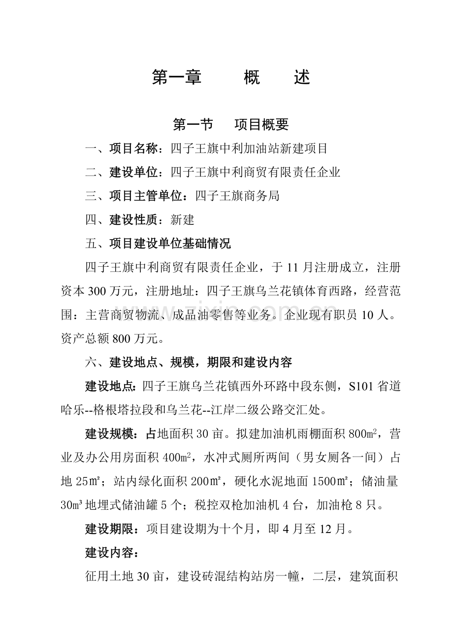 中利加油站可行性研究应用报告.doc_第1页