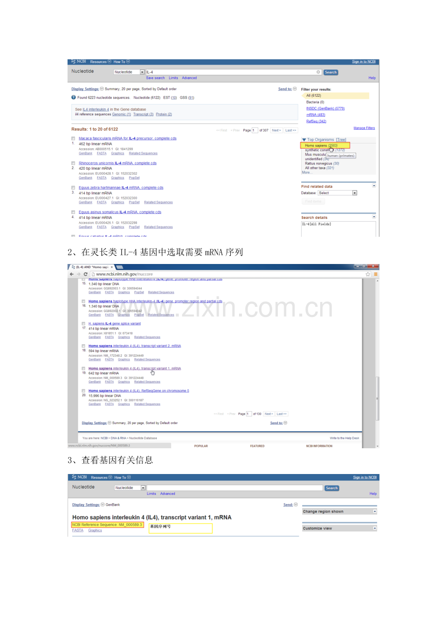 PCR引物作业流程设计详解.doc_第2页