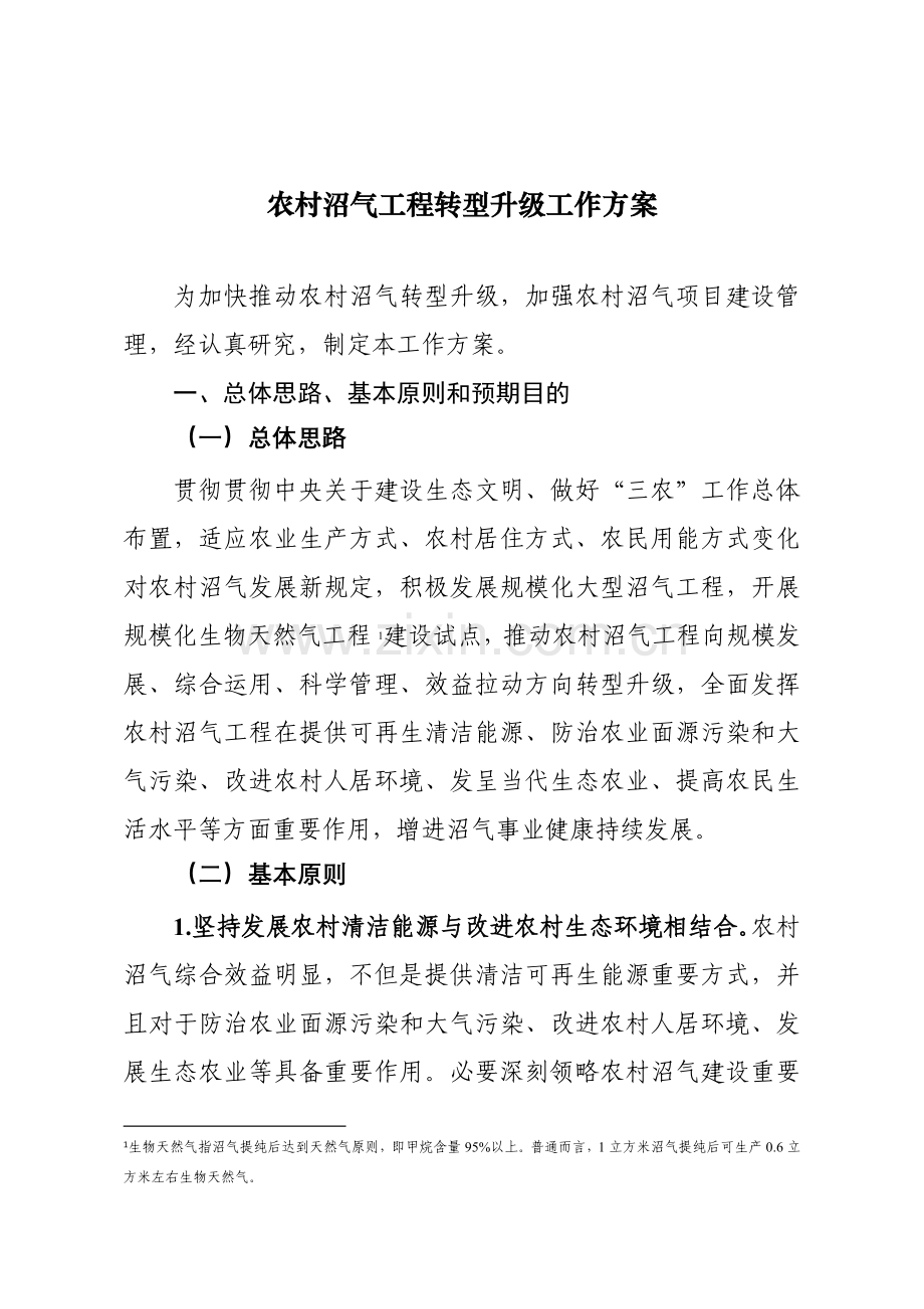 农村沼气综合项目工程转型升级工作专项方案.doc_第1页