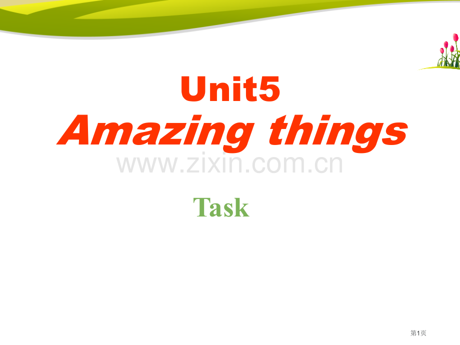 Amazing-thingsTask.pptx_第1页