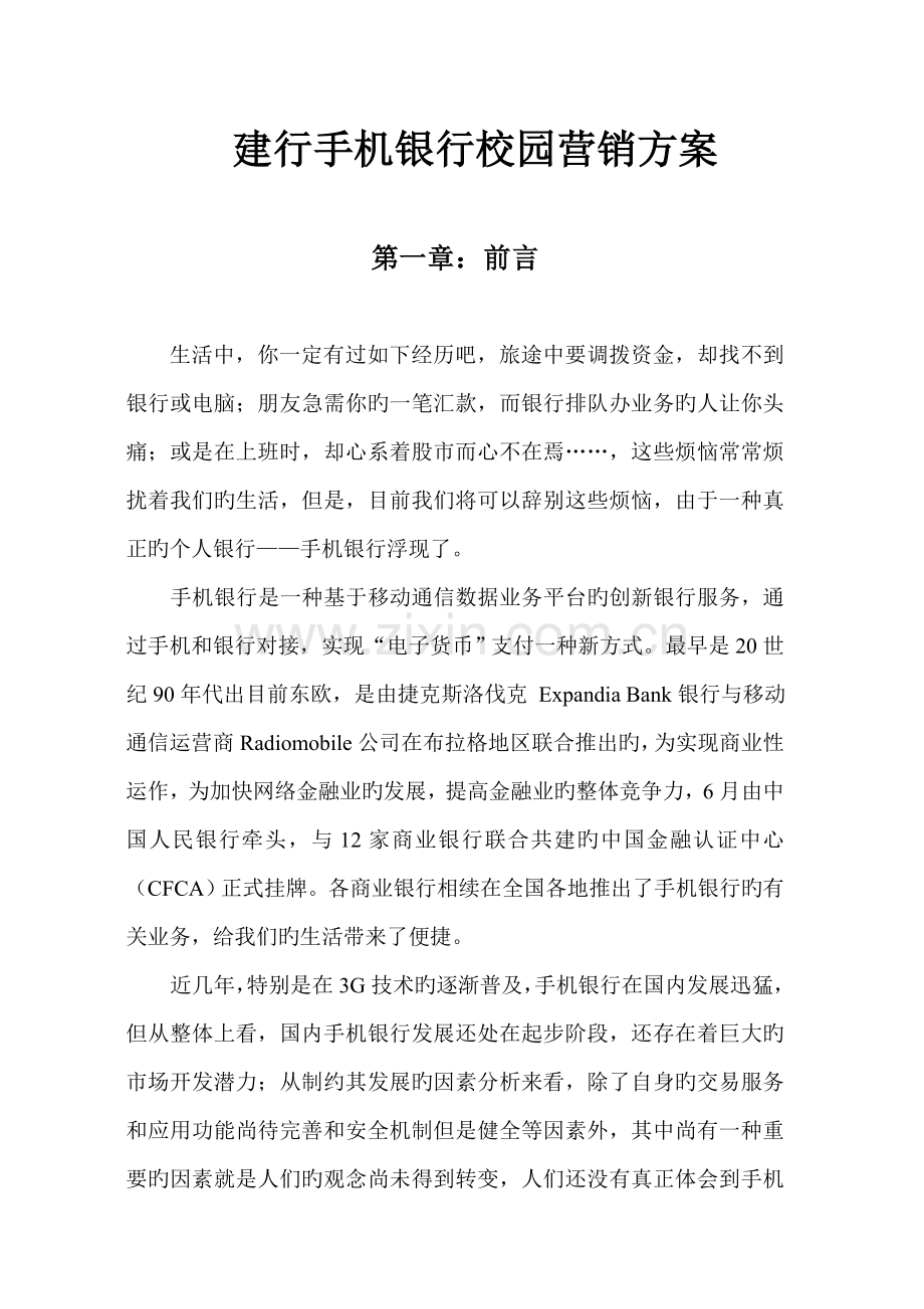 建行手机银行校园营销专题方案.docx_第1页