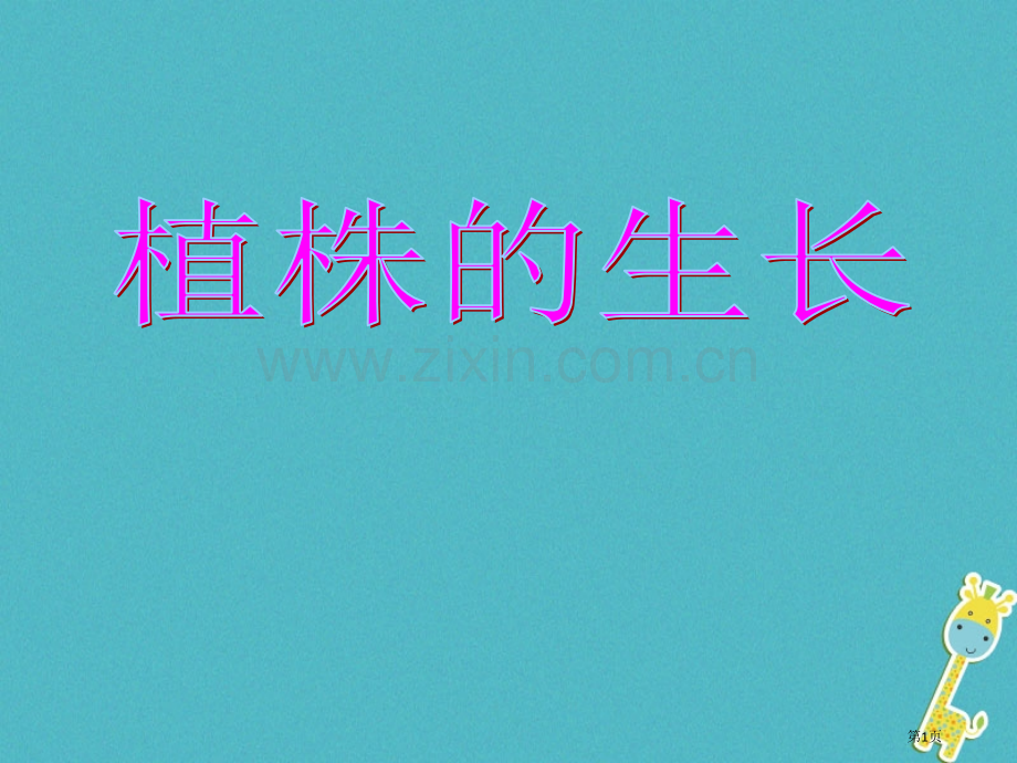 七年级生物上册3.2.2植株的生长讲义3市公开课一等奖百校联赛特等奖大赛微课金奖PPT课件.pptx_第1页