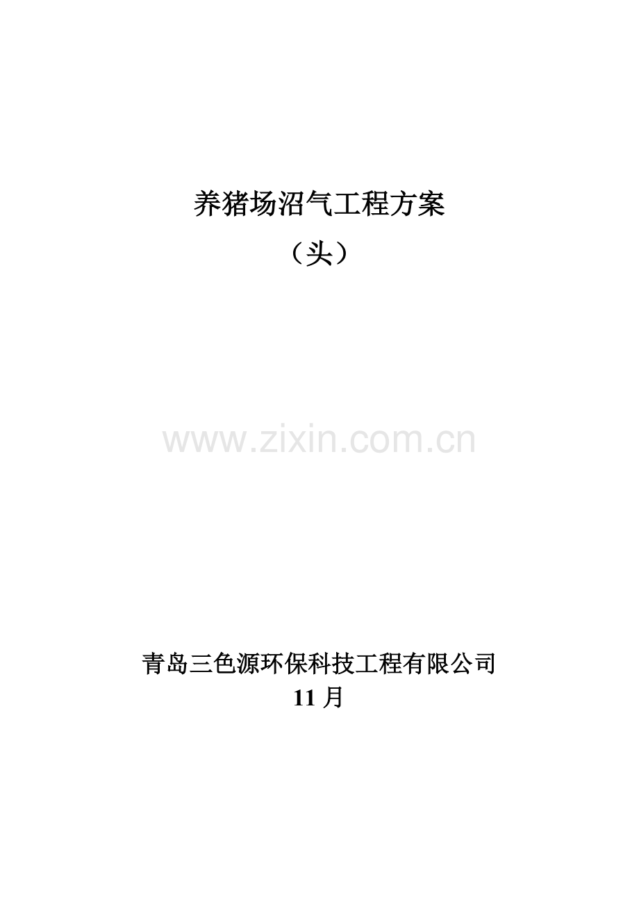 头猪沼气综合项目工程关键技术专项方案.doc_第1页