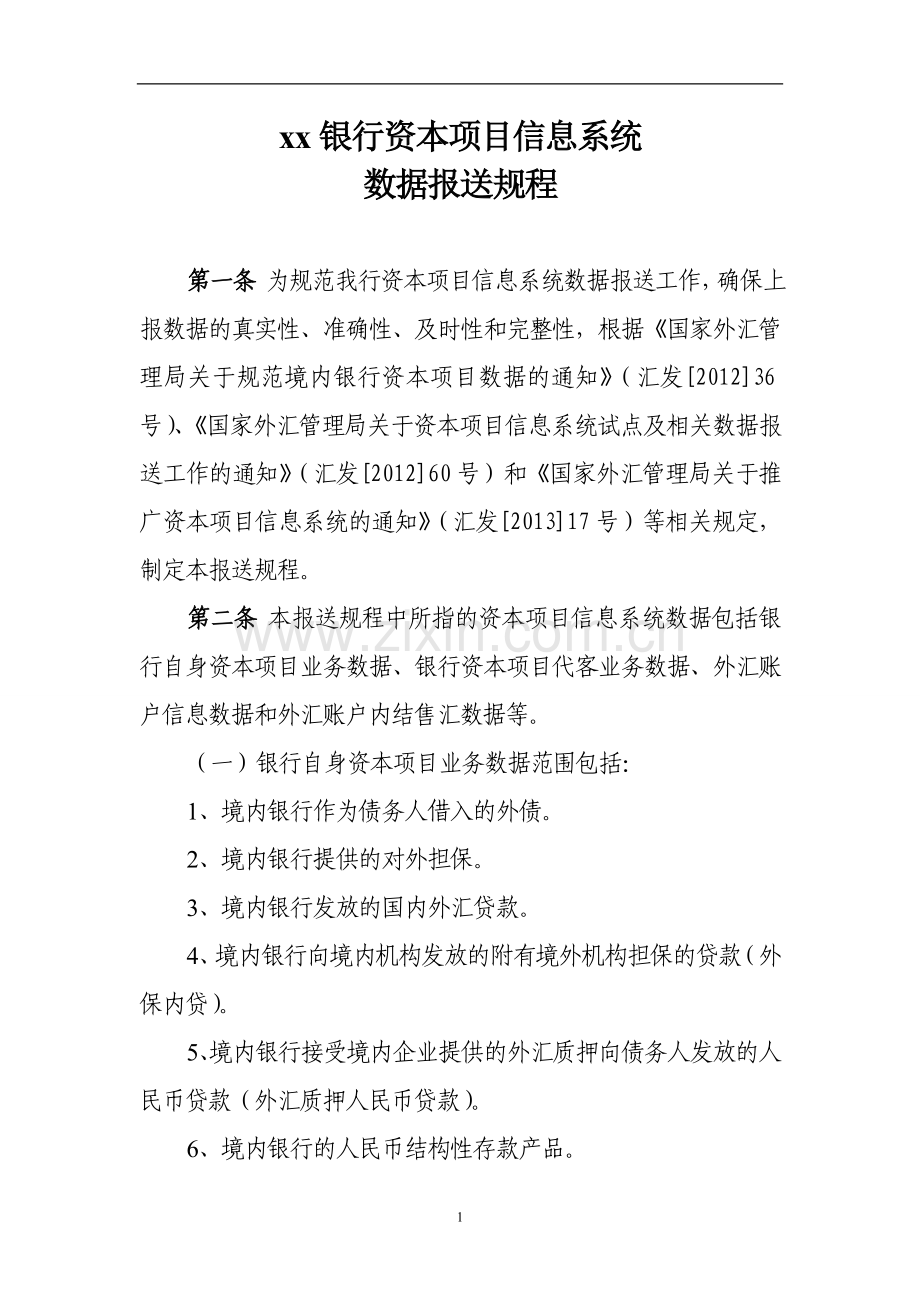 银行资本项目信息系统数据报送规程.doc_第1页