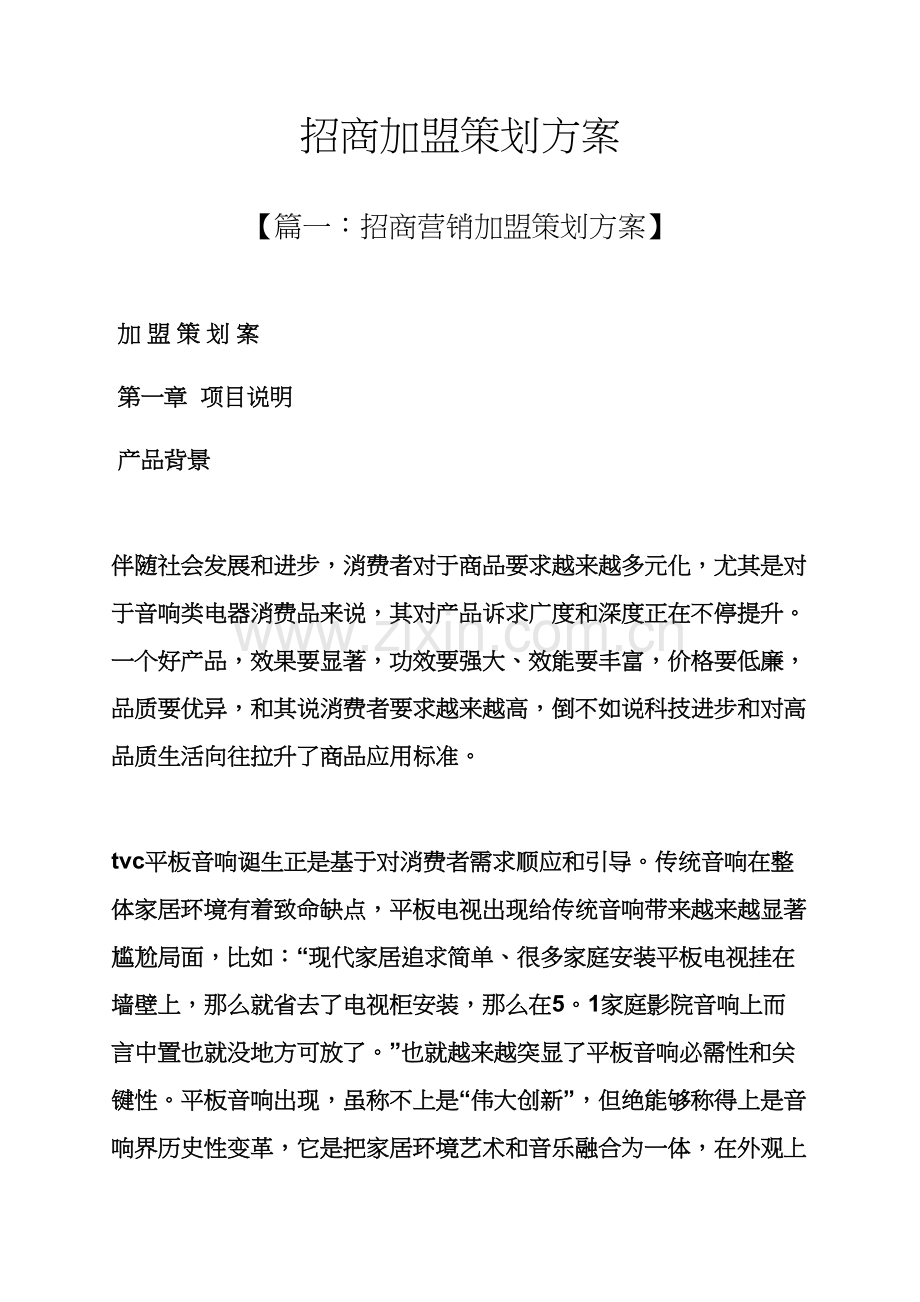 招商加盟专业策划专项方案.docx_第1页