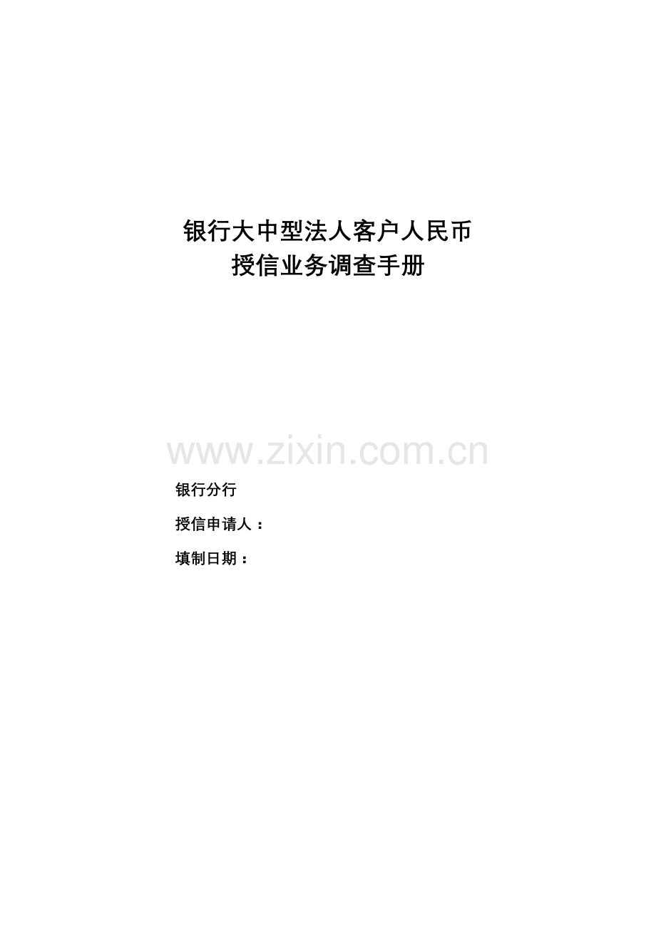 银行大中型法人客户人民币授信业务调查手册模版.docx_第1页