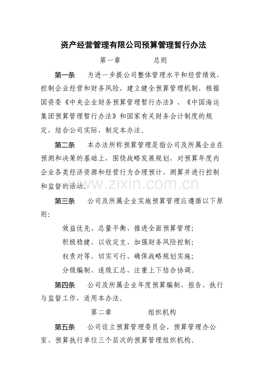 国有企业资产经营管理有限公司预算管理暂行办法模版.docx_第1页