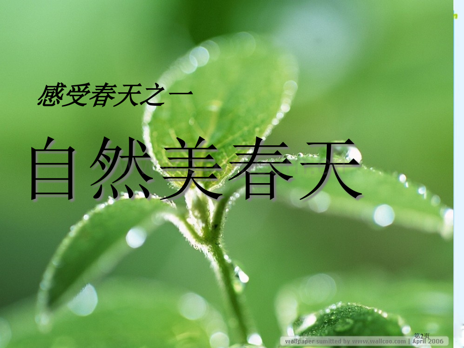 美术下册春天的畅想省公共课一等奖全国赛课获奖课件.pptx_第2页