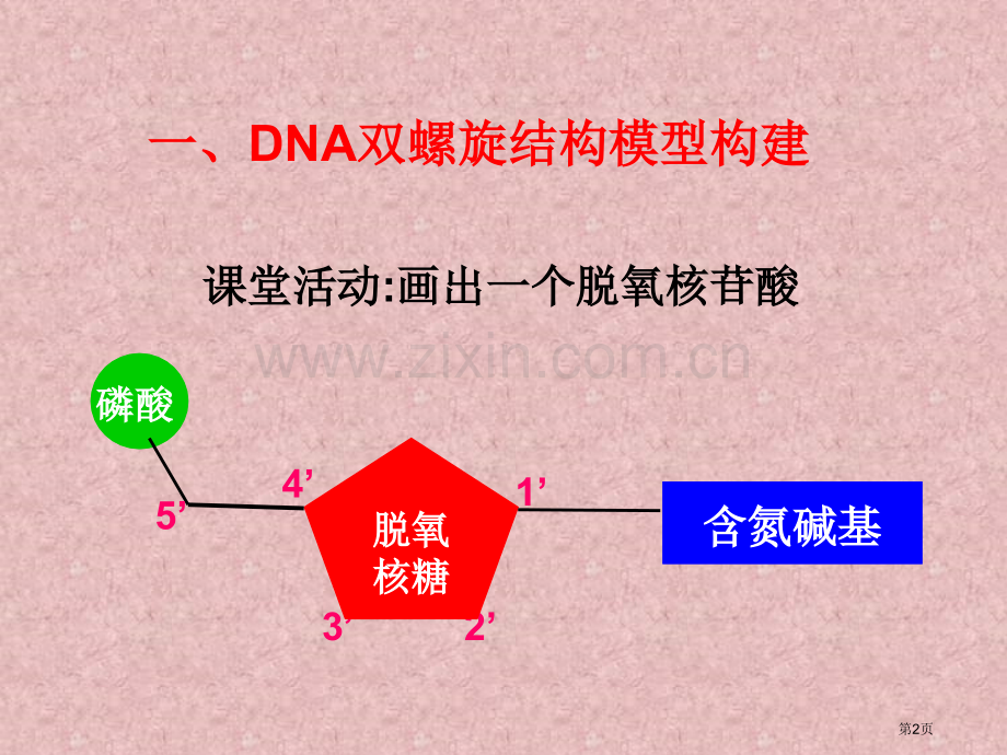人教新课标版高一必修dna分子的结构ppt5省公共课一等奖全国赛课获奖课件.pptx_第2页