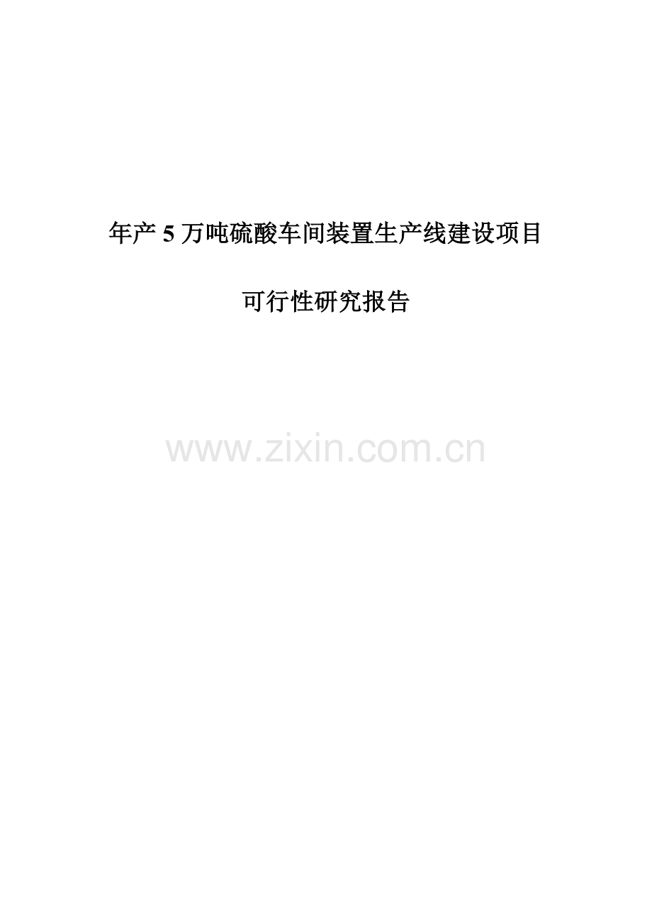 年产5万吨硫酸车间装置生产线项目可行性研究报告.doc_第1页
