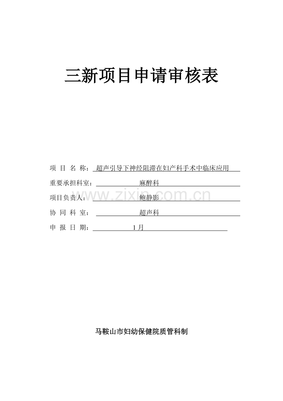 三新综合项目申请说明表.doc_第1页