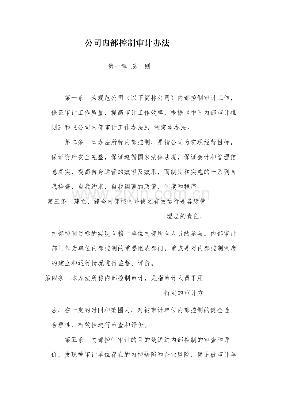 国有公司内部控制审计办法-模版.docx_第1页