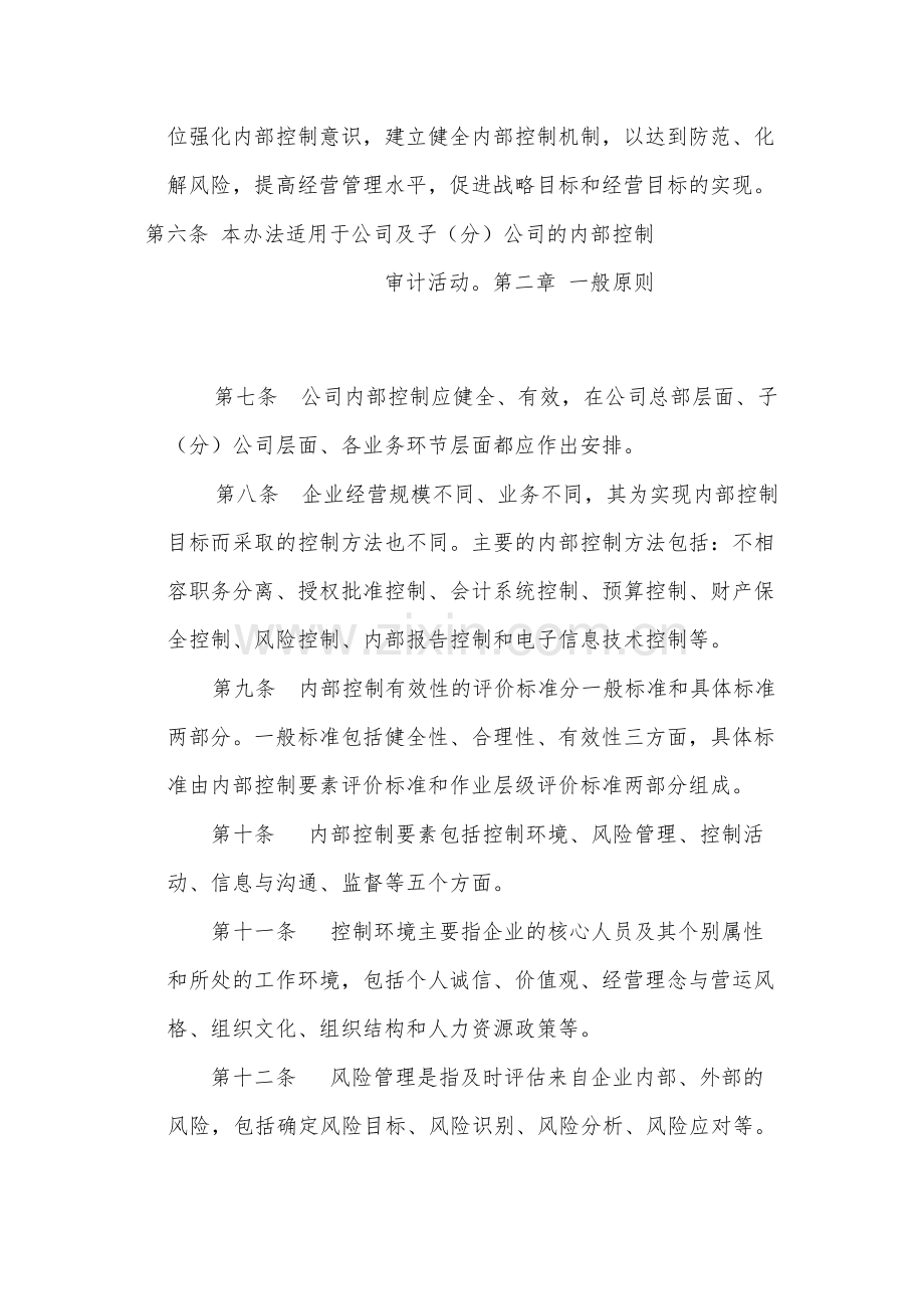 国有公司内部控制审计办法-模版.docx_第2页