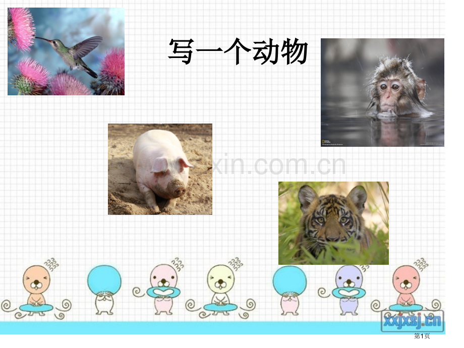 三年级2写一种动物省公共课一等奖全国赛课获奖课件.pptx_第1页
