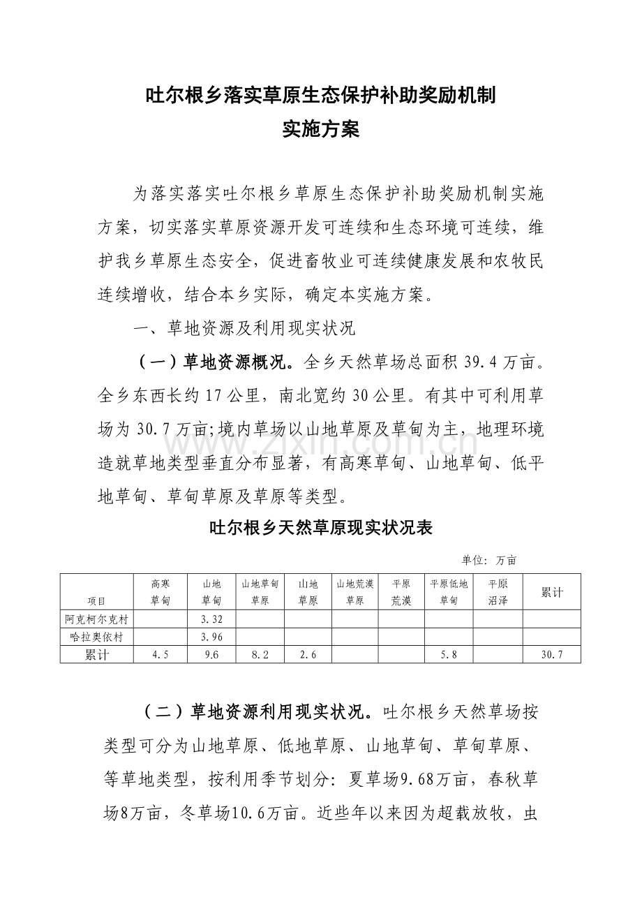 吐尔根乡落实草原生态保护补助奖励机制实施专业方案.doc_第1页