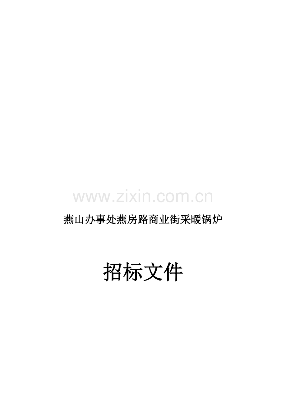 商业街采暖锅炉招标文件模板.doc_第1页
