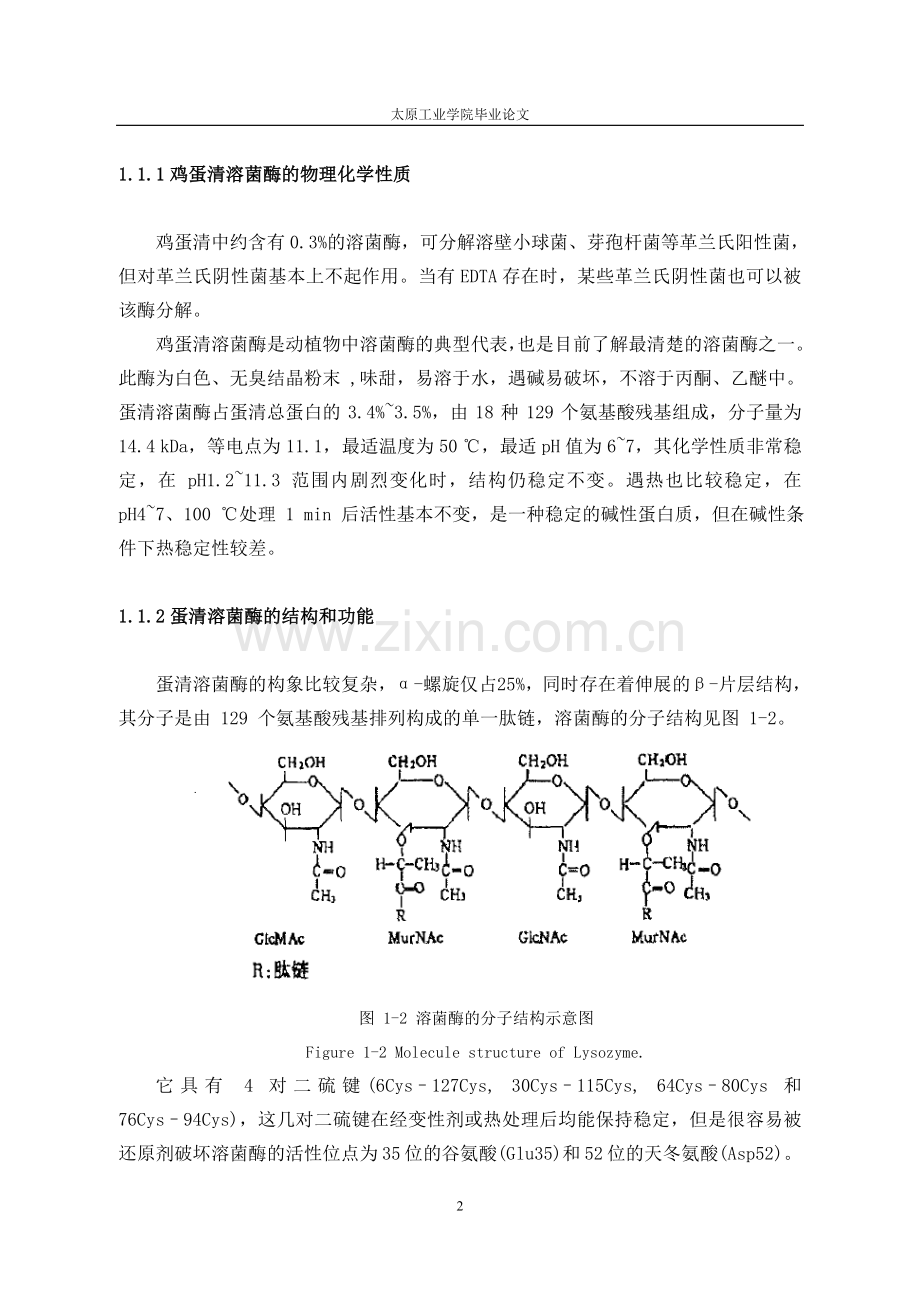 毕业论文-蛋清溶菌酶的研究.doc_第2页