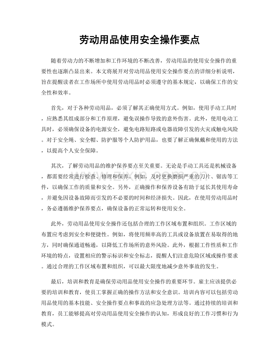 劳动用品使用安全操作要点.docx_第1页