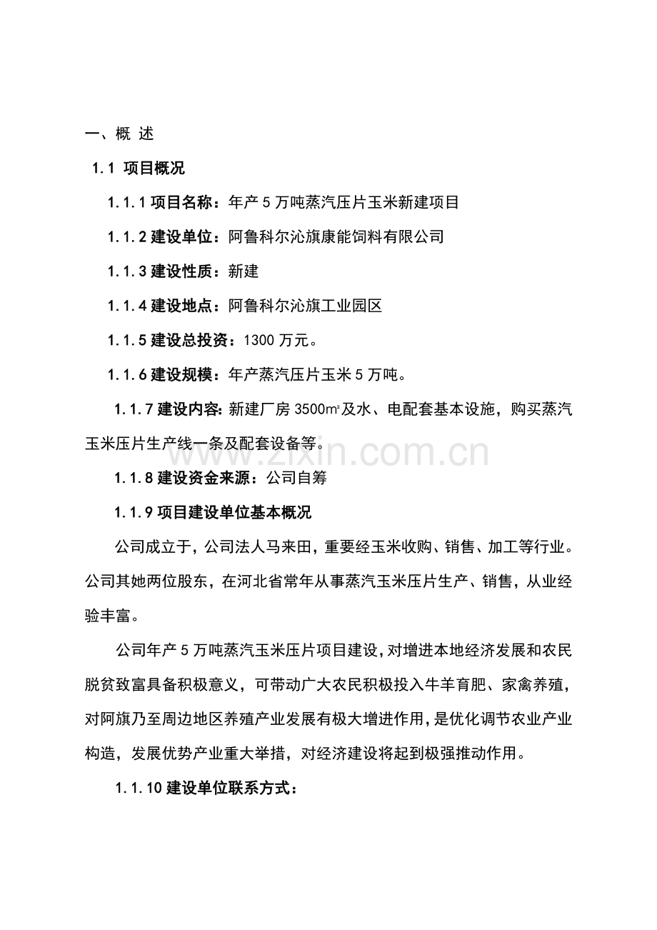 年产4万吨玉米压片建设综合项目实施可行性分析报告报告材料.doc_第2页