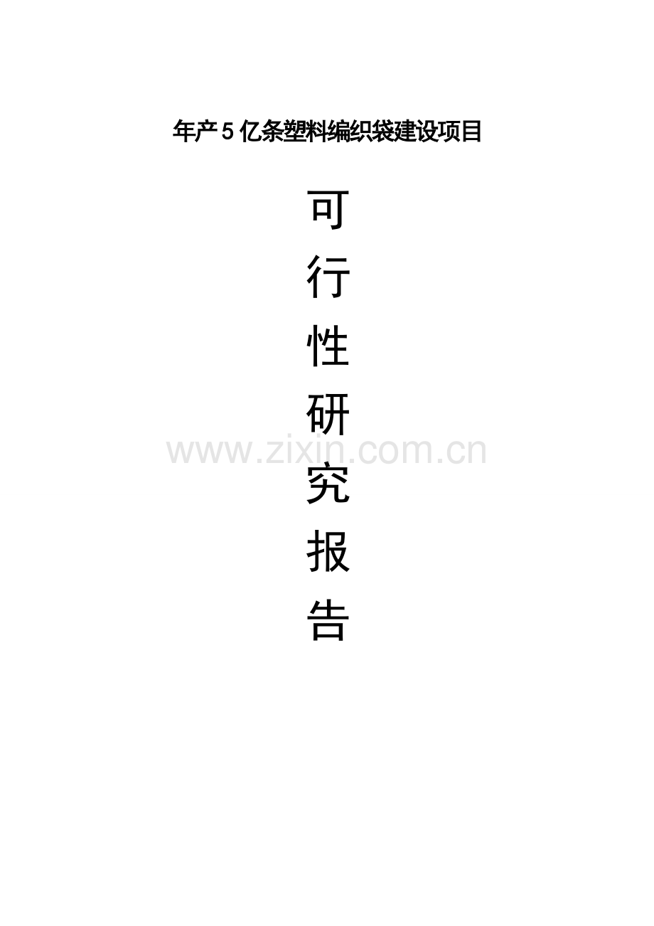 年产5亿条塑料编织袋生产线项目可行性研究报告.doc_第1页