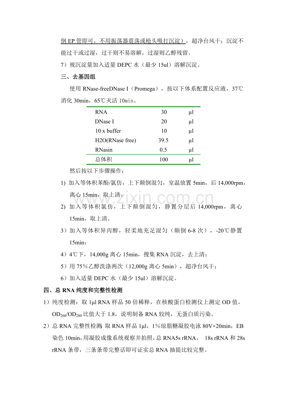 qPCR实验操作作业流程.doc_第2页