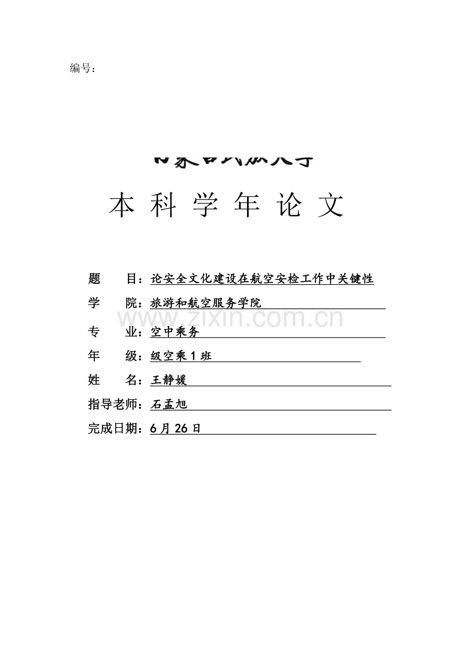 客舱服务质量现状及对策研究应用.doc_第1页